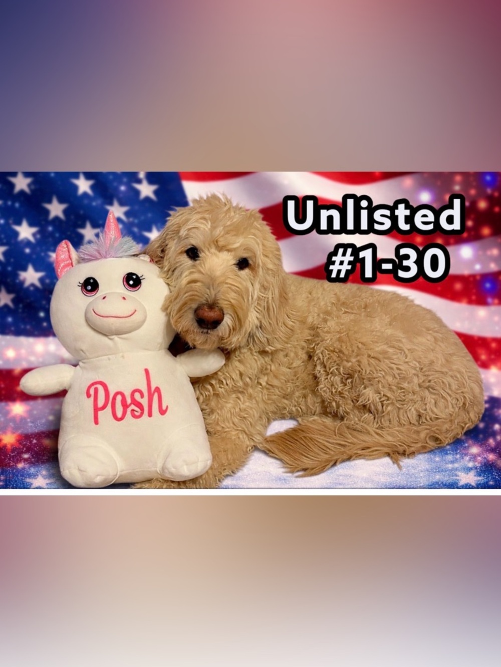 Tour of Friends Unlisted item - as described in live show. I hope you love it💖